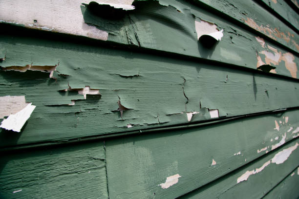 Storm Damage Siding Repair in Parkwood, CA